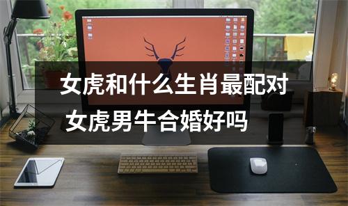 <h3>女虎和什么生肖配对女虎男牛合婚好吗