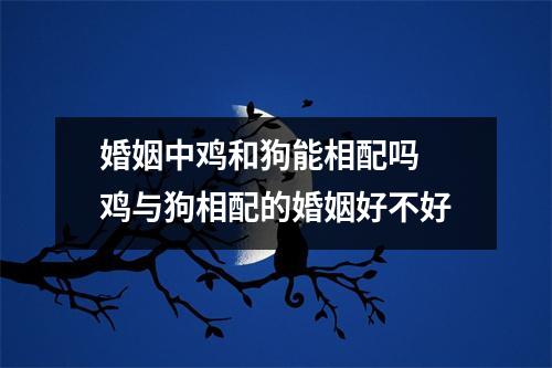 <h3>婚姻中鸡和狗能相配吗鸡与狗相配的婚姻好不好