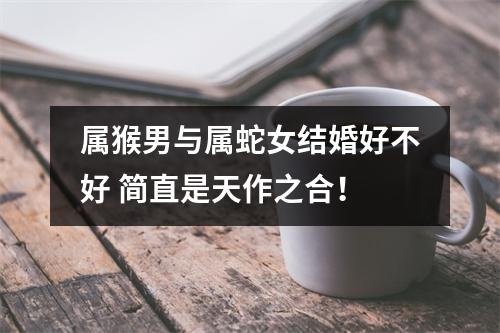 <h3>属猴男与属蛇女结婚好不好简直是天作之合！