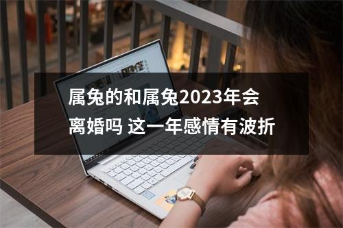 属兔的和属兔2025年会离婚吗这一年感情有波折