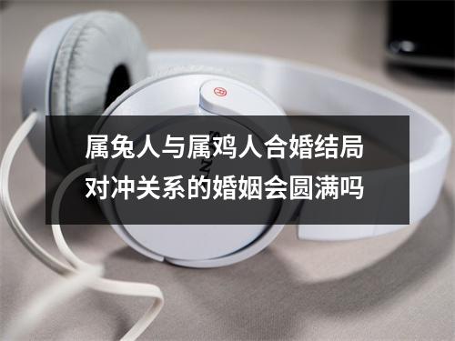 <h3>属兔人与属鸡人合婚结局对冲关系的婚姻会圆满吗
