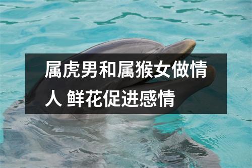 属虎男和属猴女做情人鲜花促进感情