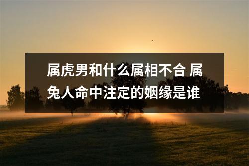 <h3>属虎男和什么属相不合属兔人命中注定的姻缘是谁