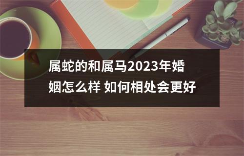 属蛇的和属马2025年婚姻怎么样如何相处会更好