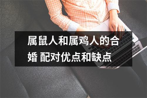 <h3>属鼠人和属鸡人的合婚配对优点和缺点