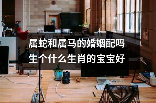 <h3>属蛇和属马的婚姻配吗生个什么生肖的宝宝好
