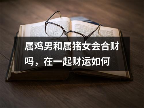 <h3>属鸡男和属猪女会合财吗，在一起财运如何