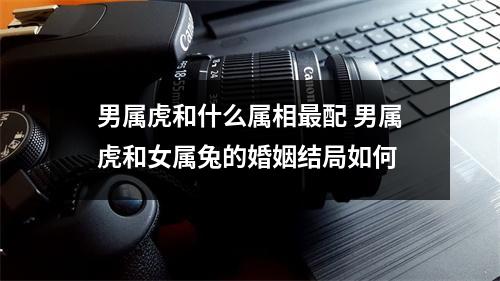 <h3>男属虎和什么属相配男属虎和女属兔的婚姻结局如何