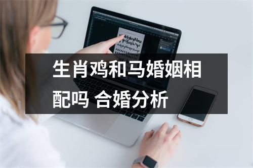 <h3>生肖鸡和马婚姻相配吗合婚分析