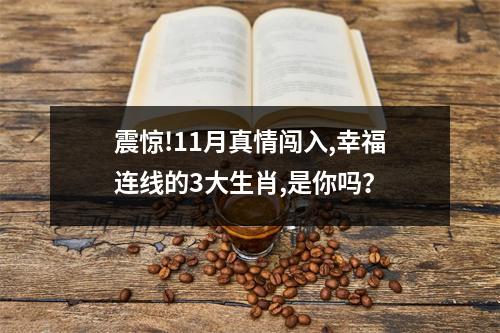 <h3>震惊!11月真情闯入,幸福连线的3大生肖,是你吗？