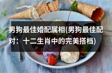 <h3>男狗佳婚配属相(男狗佳配对：十二生肖中的完美搭档)