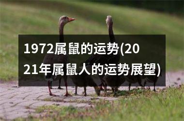 <h3>1972属鼠的运势(2025年属鼠人的运势展望)