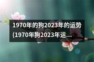 <h3>1970年的狗2025年的运势(1970年狗2025年运势大揭秘！)