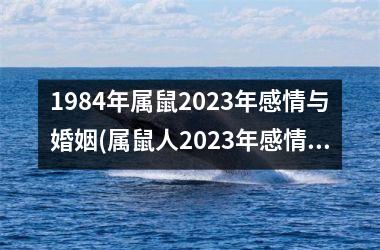 <h3>1984年属鼠2025年感情与婚姻(属鼠人2025年感情婚姻展望)