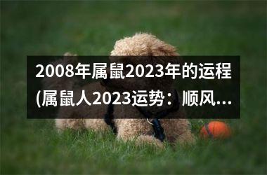 2008年属鼠2023年的运程(属鼠人2023运势：顺风顺水，步步高升。)