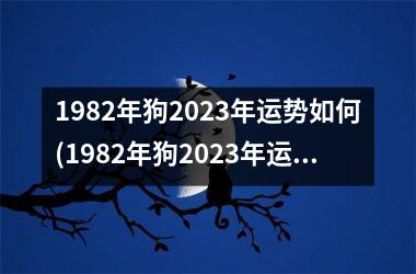 <h3>1982年狗2025年运势如何(1982年狗2025年运势大揭秘)