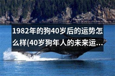 1982年的狗40岁后的运势怎么样(40岁狗年人的未来运程分析。)