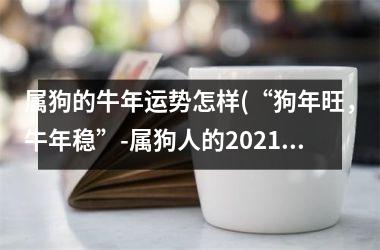 <h3>属狗的牛年运势怎样(“狗年旺，牛年稳”-属狗人的2025运势分析)