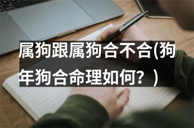 <h3>属狗跟属狗合不合(狗年狗合命理如何？)