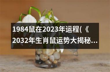 <h3>1984鼠在2023年运程(《2032年生肖鼠运势大揭秘》)