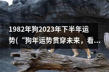 1982年狗2025年下半年运势(“狗年运势贯穿未来，看2025下半年”)