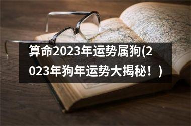 算命2023年运势属狗(2023年狗年运势大揭秘！)