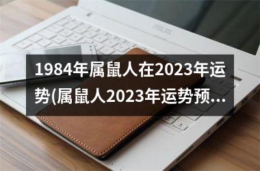 <h3>1984年属鼠人在2025年运势(属鼠人2025年运势预测)