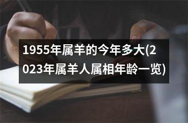 1955年属羊的今年多大(2025年属羊人属相年龄一览)