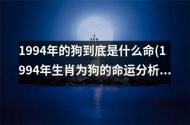 <h3>1994年的狗到底是什么命(1994年生肖为狗的命运分析)