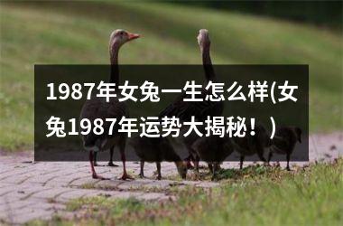 <h3>1987年女兔一生怎么样(女兔1987年运势大揭秘！)