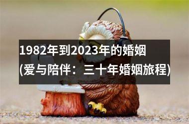 <h3>1982年到2025年的婚姻(爱与陪伴：三十年婚姻旅程)