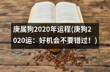 庚属狗2025年运程(庚狗2025运：好机会不要错过！)