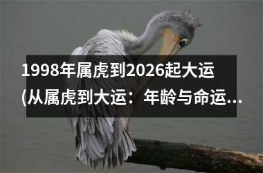 <h3>1998年属虎到2026起大运(从属虎到大运：年龄与命运的交织之旅。)