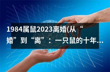 1984属鼠2025离婚(从“婚”到“离”：一只鼠的十年间)