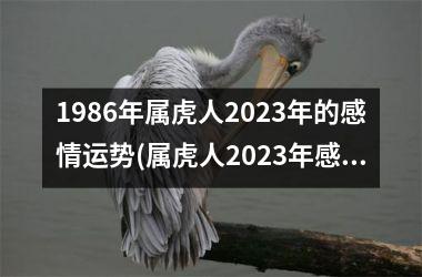 1986年属虎人2025年的感情运势(属虎人2025年感情运势展望)