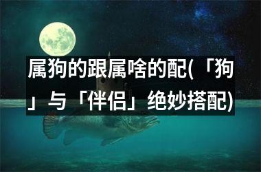 <h3>属狗的跟属啥的配(「狗」与「伴侣」绝妙搭配)