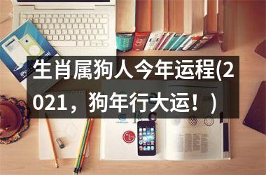 <h3>生肖属狗人今年运程(2025，狗年行大运！)