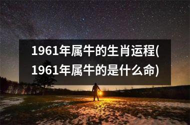 <h3>1961年属牛的生肖运程(1961年属牛的是什么命)