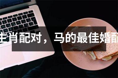 <h3>生肖配对，马的佳婚配