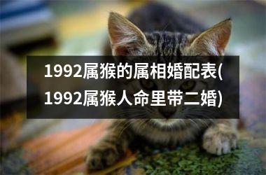 <h3>1992属猴的属相婚配表(1992属猴人命里带二婚)