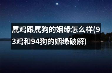 属鸡跟属狗的姻缘怎么样(93鸡和94狗的姻缘破解)