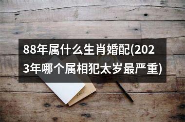 <h3>88年属什么生肖婚配(2025年哪个属相犯太岁严重)