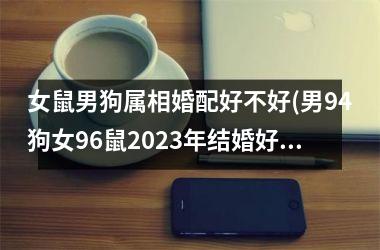 女鼠男狗属相婚配好不好(男94狗女96鼠2025年结婚好吗)