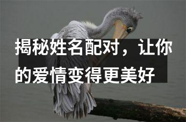 <h3>揭秘姓名配对，让你的爱情变得更美好