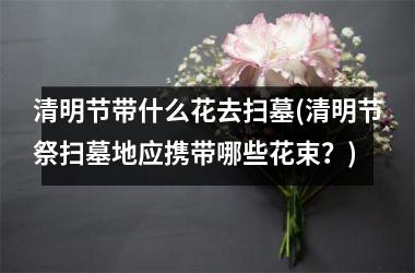 <h3>清明节带什么花去扫墓(清明节祭扫墓地应携带哪些花束？)