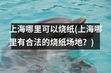 上海哪里可以烧纸(上海哪里有合法的烧纸场地？)