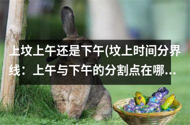 <h3>上坟上午还是下午(坟上时间分界线：上午与下午的分割点在哪里？)