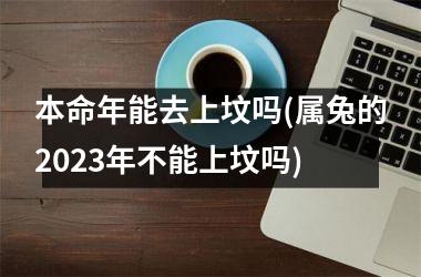 本命年能去上坟吗(属兔的2025年不能上坟吗)