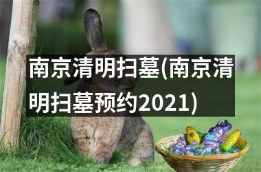 <h3>南京清明扫墓(南京清明扫墓预约2025)