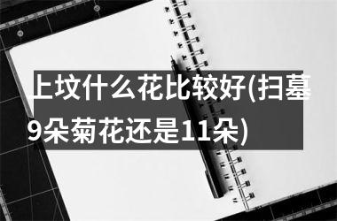 <h3>上坟什么花比较好(扫墓9朵菊花还是11朵)